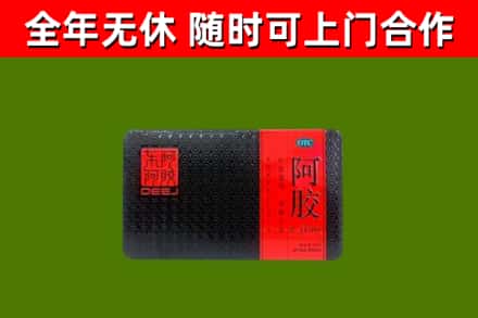 宝兴烟酒回收阿胶.jpg